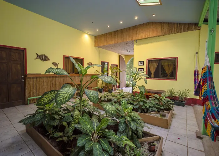 Bed and breakfast Indra